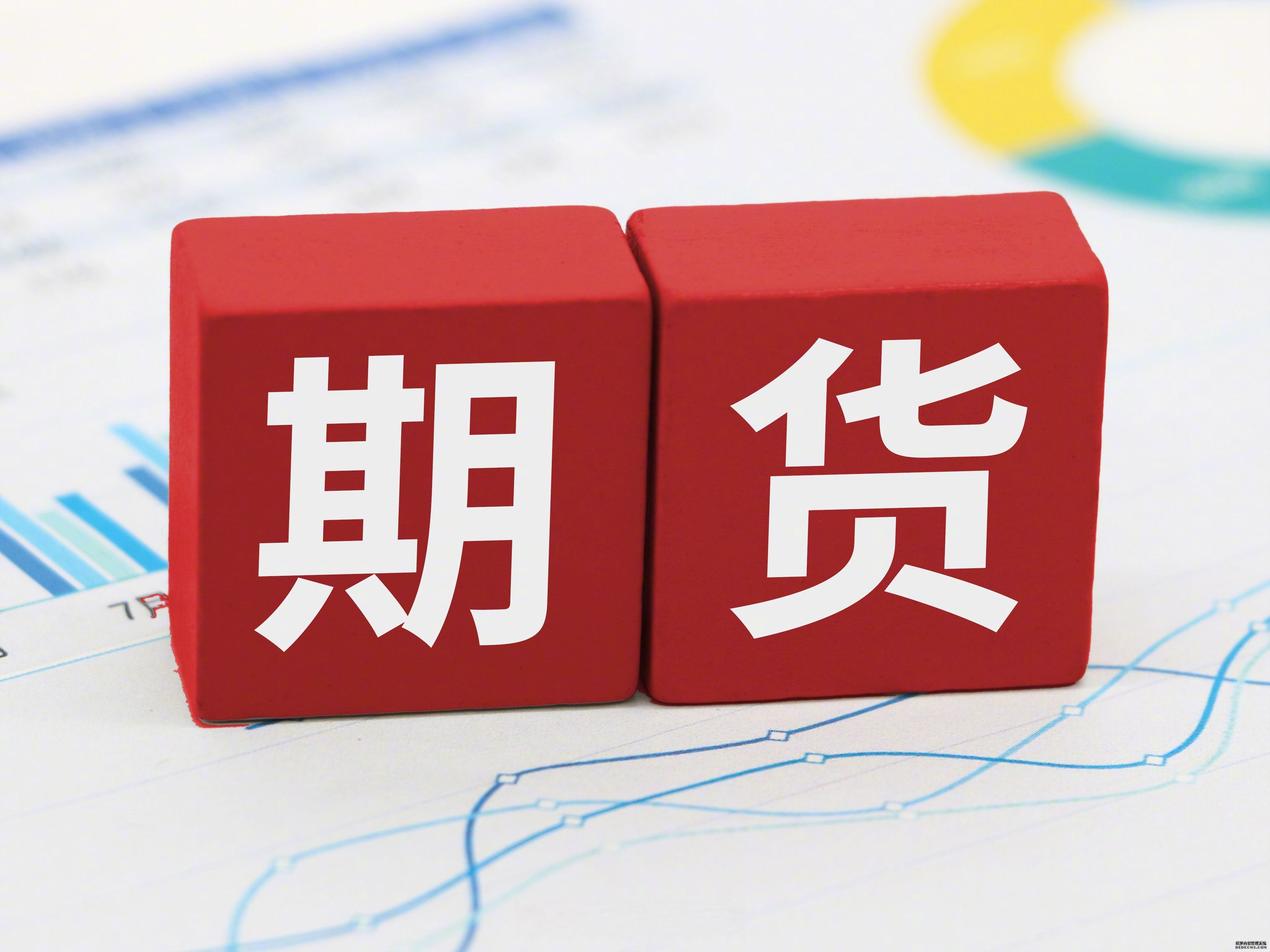金荣中国实盘争霸赛